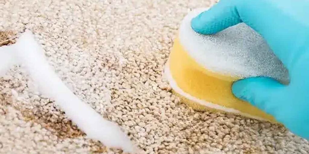 How to Neutralise Sour Milk Odours from Carpets